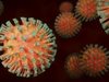 Потвърдените случаи на новия коронавирус вече са 16,34 млн.