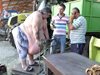 "168 часа": Най-тежкият мъж в България надебелял с тигрови скариди и черен хайвер на корем