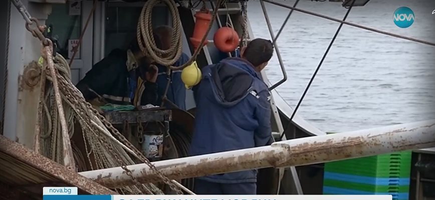 Три български риболовни кораба са задържани в териториалните води на Румъния за незаконен улов на акула в петък. Единият от корабите е от Варна, другите - от Каварна и Бургас.
Кадър: Нова тв