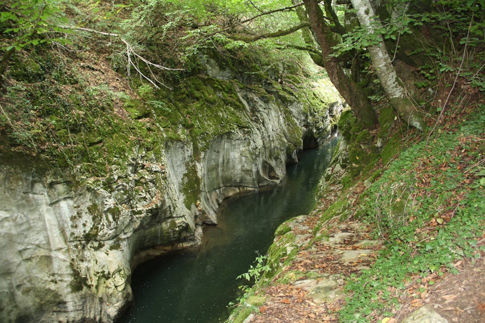 Каньонът Горло е в скална теснина, където река Арда се провира между отвесни скали.