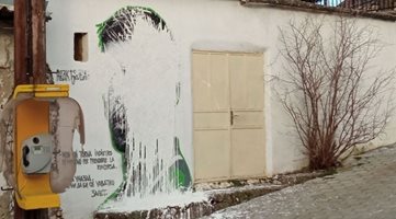 Графит на Новак Джокович в Косово беше унищожен