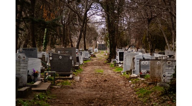 Гробищата бяха почистени преди Задушница.