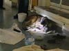 В Москва свалиха влак от релсите заради раждащо куче (Видео)