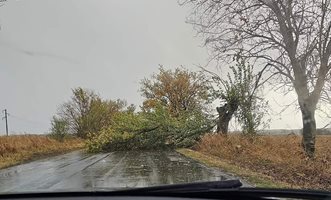 Затруднено е електрозахранването в част от Североизточна България заради бурите