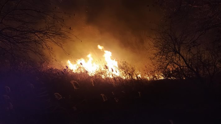 В района се носи гъст дим, а пламъците се виждат отдалеч.