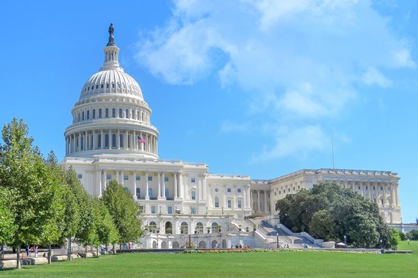 Капитолия във Вашингтон Снимка: Pixabay