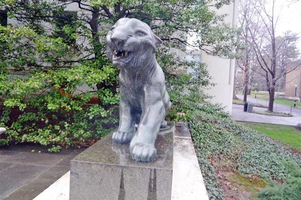 Една от статуите на тигри в кампуса. Тигърът е символът на Принстън.