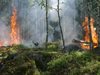 Около 1500 декара гори са унищожени при пожара край село Слънчево
