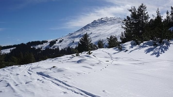 Спасиха французи с бебе на Витоша