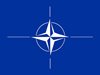 НАТО обяви за оперативно готова своя нова бойна група на източния си фланг