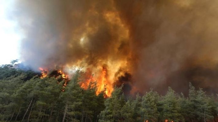 Продължава борбата с огъня в Рила.
Снимка: Архив