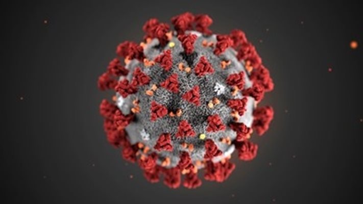 Нови щамове на вируса на грипа, срещу които руснаците досега не са били ваксинирани, ще действат в Русия през есента и зимата СНИМКА: Ройтерс