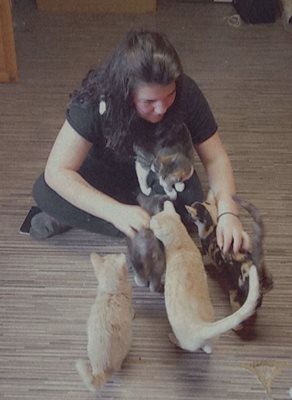 Сестра й Габриела помага с котките