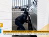 Вижте новия метод на автокрадците за отключване на коли - чрез монета (Видео)