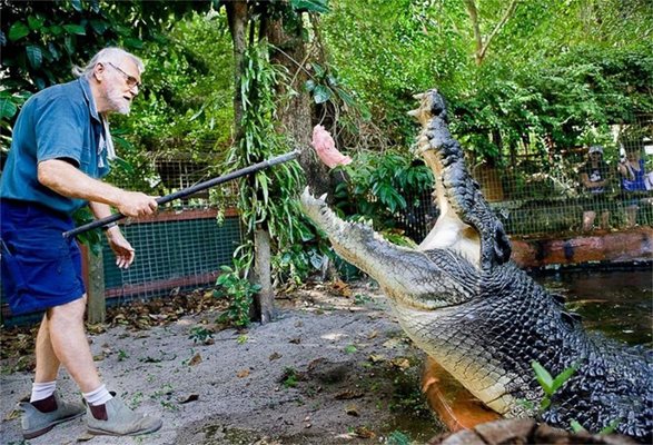 Звярът лакомо излапа подаръка