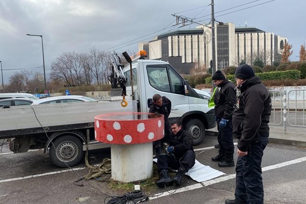 Спасиха котка, паднала във въздуховод СНИМКИ: Фейсбук на кмета на столичния район “Лозенец” Константин Павлов.