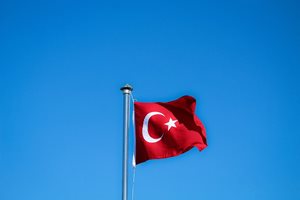 Очаква се утре турският парламент да обсъди кандидатурата на Швеция за членство в НАТО