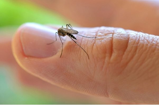Вибратори и спрейове пазят от малария