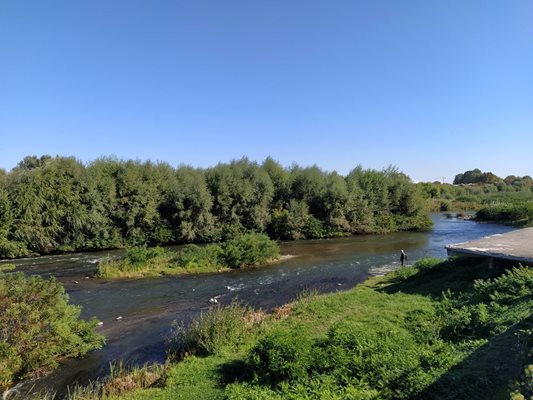 Марица в чертите на Пловдив е обрасла като Амазонка.