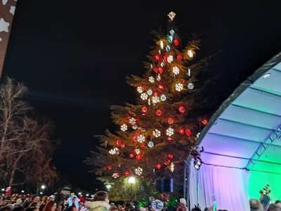 Грейнаха светлините на най-голямото живо Коледно дърво в Европа. То е над 28 м. и се намира в Димитровград.
СНИМКИ: ОБЩИНА ДИМИТРОВГРАД