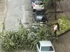 Получени са 12 сигнала след бурята в Пазарджик, а 7 коли са с щети (Снимки)