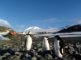 Батериите на Монбат работят и на Антарктида