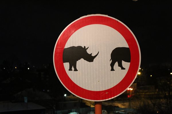 “Забранено влизането и в двете посоки” добива природозащитнически характер и предупреждава за изчезването на белите носорози.