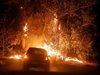 Пожари обхванаха 800 хил. хектара гора в Чили (Снимки)