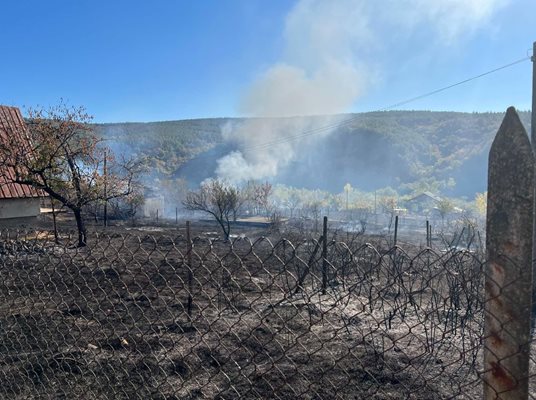 Пожар изпепели три вили, пчелин и 200 дка край Пазарджик Снимка: Община Лесичово