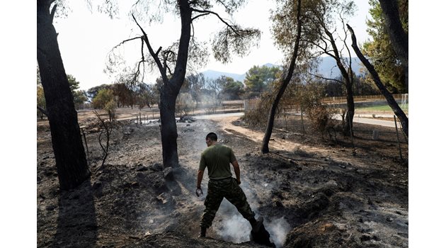 Гръцки пожарникар оглежда последиците в опустошените райони на южната ни съседка.