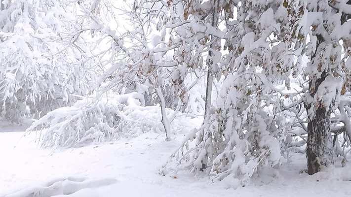 Слънчево, но студено време в събота, до 4° в Пловдив