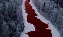 Кадри на "кървава река" в Русия шокираха хората в интернет