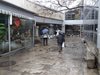 Битка за антични мозайки и 12 магазина в археологическия подлез на Пловдив
