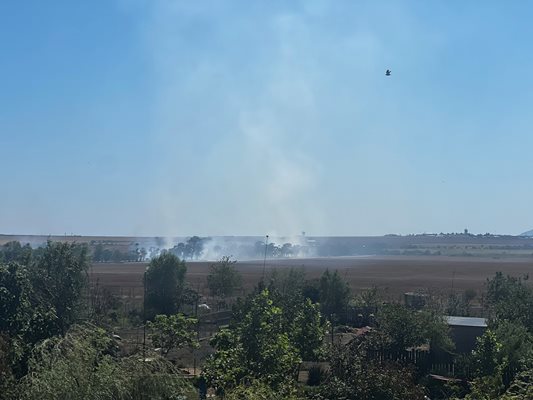 Пламнали са сухи треви в района на зоопарка. Снимка: 24 часа