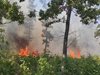 12 пожара са бушували в горите на Централна Северна България тази година