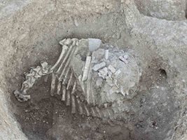 Цял скелет на кон откриха в средновековен некропол над Горна Оряховица

Снимка: Община Горна Оряховица