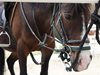Плевенчанин почина на път за Средец, катастрофира в кон, после в камион