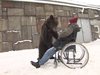 Мечка бута дресьора си в инвалидна количка (Видео)