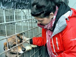 Германката Надине Фишер гали едно от кучетата, които ще бъдат осиновени в чужбина