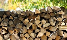 Хайки за незаконни дърва в Търновско на прага на отоплителния сезон