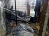 Подпалиха кучешки приют във Варна, питомци изгоряха живи (Снимки 18+)
