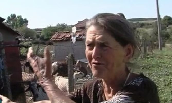 Тодорка Сакалиева от с. Шарково бранеше своите животни от евтаназия. КАДЪР: bTV