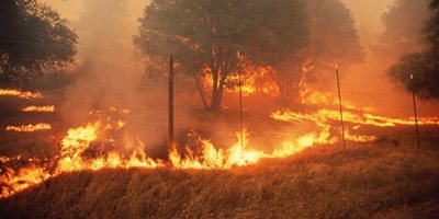 Очакват нови разрушителни ветрове и екстремно пожароопасно време в Лос Анджелис