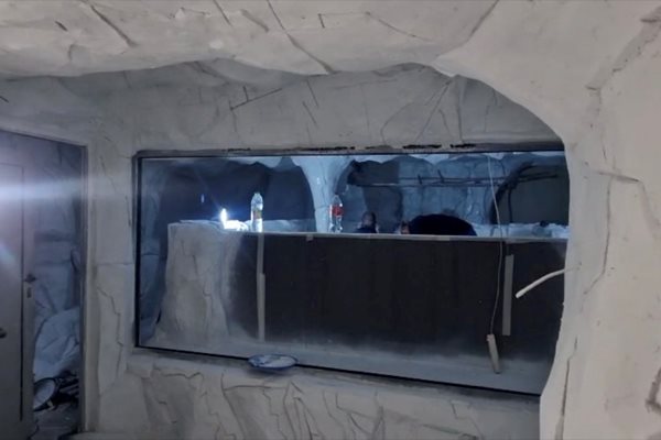 Леденият аквариум в Природонаучния музей пресъздава арктическите пещери.