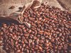 Кафето изчезва заради глобалното затопляне