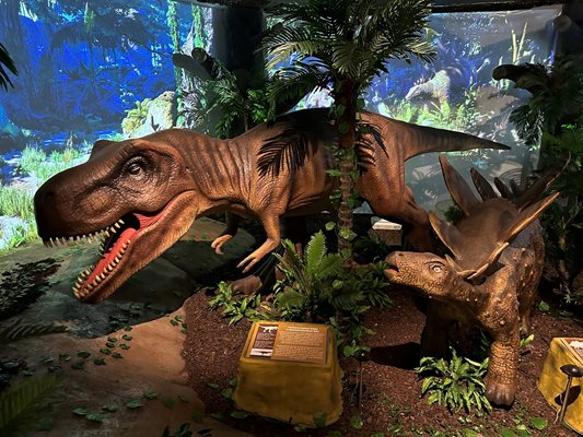 7-метров движещ се тиранозавър ръмжи в обновената зала “Динозаври”.