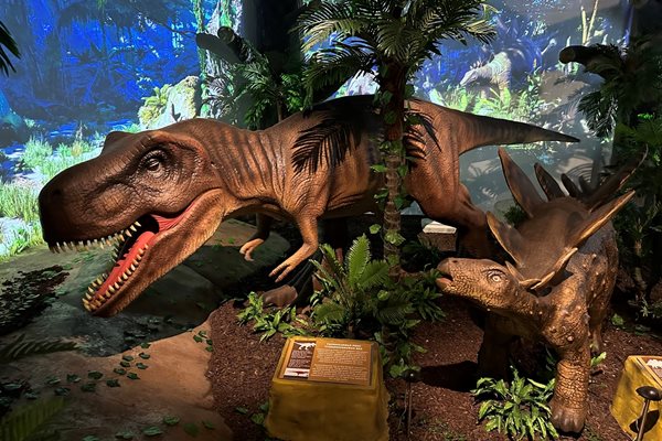 7-метров движещ се тиранозавър ръмжи в обновената зала “Динозаври”.