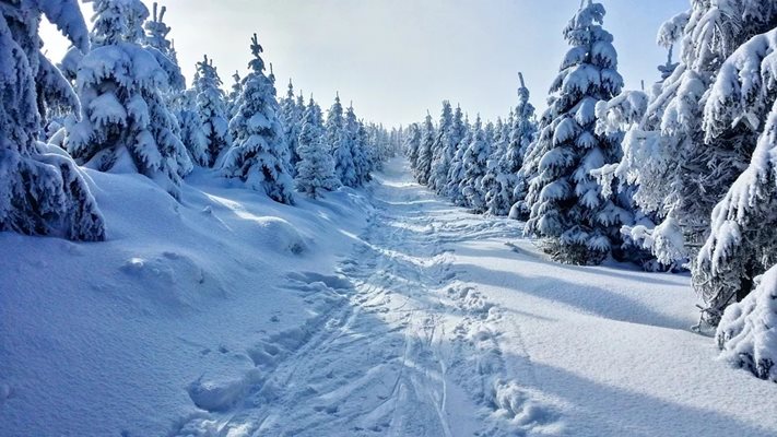 Слънчево и до 6 градуса днес