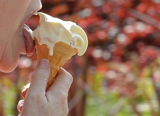 Любимата фунийка често е заменяна от сладоледени сандвичи с бисквитки или слепени парчета кекс със сорбе или сладолед.