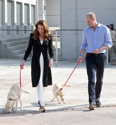 Уилям и Кейт посетиха военен център за кучета в Исламабад, за който Великобритания предоставя подкрепа по програма, която обучава четириногите за идентифициране на експлозивни устройства